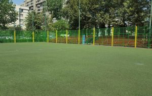 زمین چمن پرشان (شیرودی)