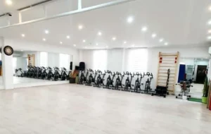 باشگاه ونوس