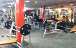 باشگاه بدنسازی ذوالفقار