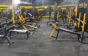 باشگاه آوا
