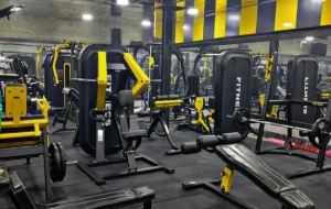 باشگاه بردیا در قم