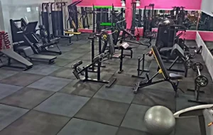 باشگاه ورزشی دی