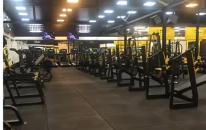 باشگاه دیاکو