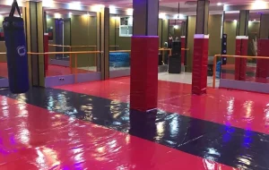 مجموعه ورزشی دیباجی