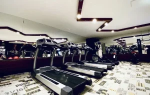 باشگاه بدنسازی دلفین