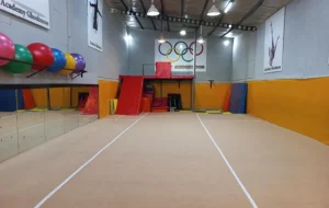 باشگاه ققنوس