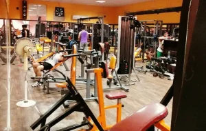 باشگاه ورزشی ققنوس