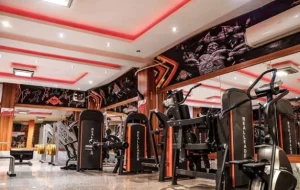 باشگاه حافظ