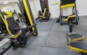 باشگاه ورزشی حمید