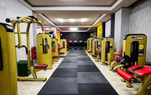 باشگاه هوفر