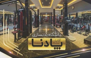 باشگاه پادنا