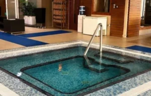 باشگاه ورزشی پالادیوم