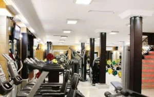 باشگاه ورزشی پانیک