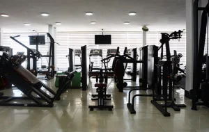 باشگاه پاور لاین - خط قدرت (Power Line Gym)