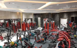 باشگاه ساندو