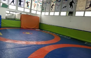 مجموعه ورزشی شهدای فرهنگی