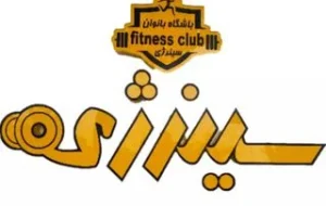 باشگاه بانوان سینرژی