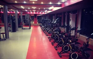 آکادمی سورنا