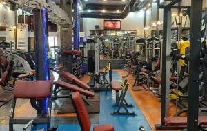 باشگاه یاران